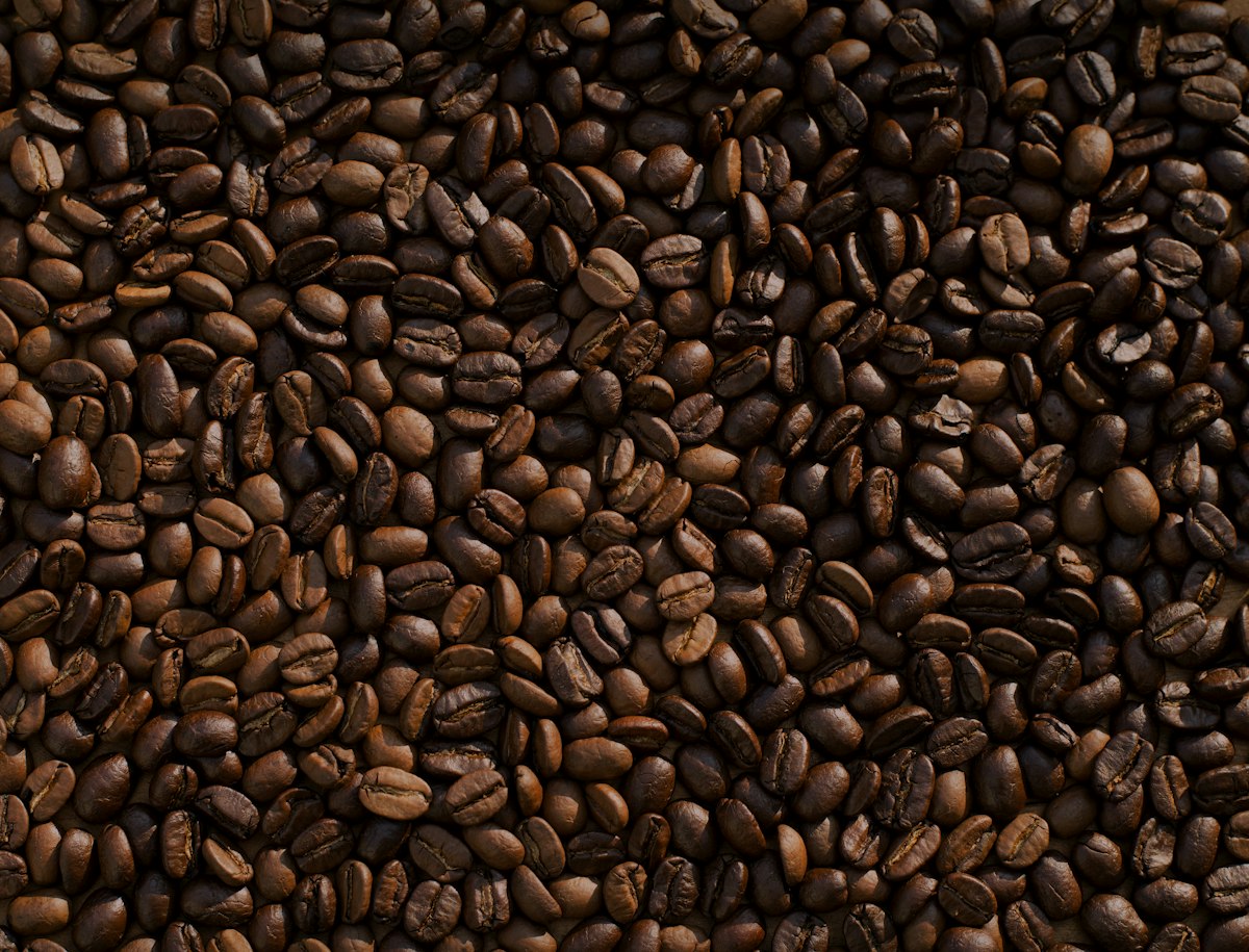 Café Robusta