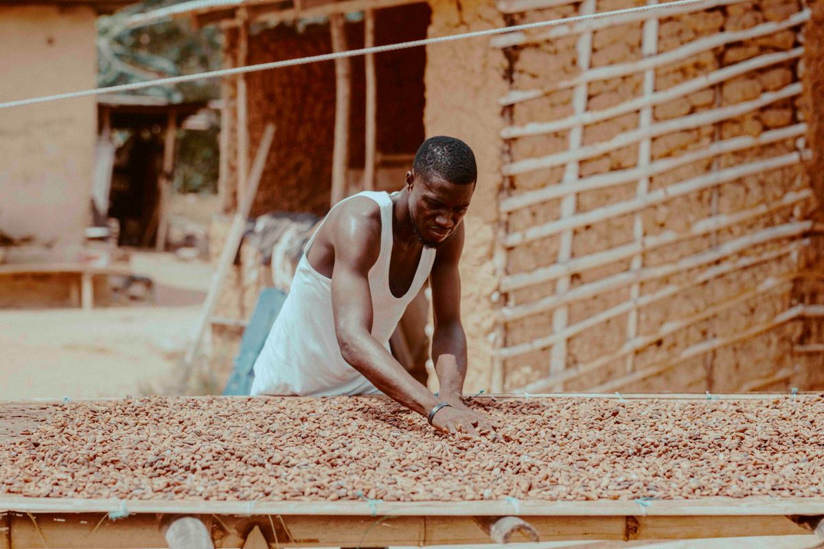 Cacao Ghana